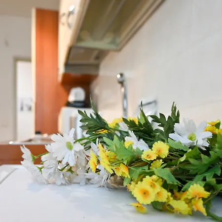 2 - Sunny Corner Flat *