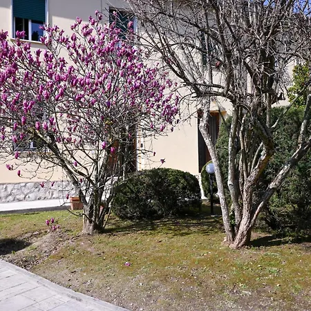 2 - Sunny Corner Flat *